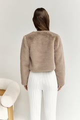 Day By Day Faux Fur Cropped Jacket Brown